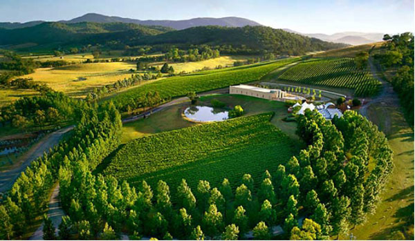 【新酒到货】走进西班牙-拉曼恰产区Exotic Winds酒庄