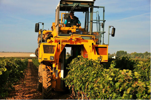 【新酒到货】走进西班牙-拉曼恰产区Exotic W