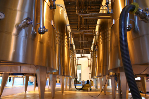 酒到货】走进西班牙-拉曼恰产区Exotic Winds酒